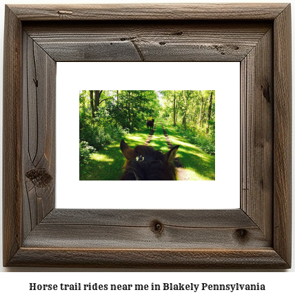 horse trail rides near me in Blakely, Pennsylvania